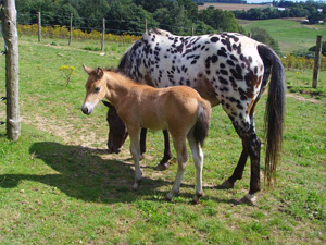 Thim et sa maman