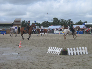 Le carrousel aux milles sabots