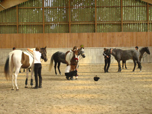 équitation naturelle